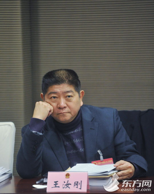 王汝刚代表养老工程两大关键是物力人力