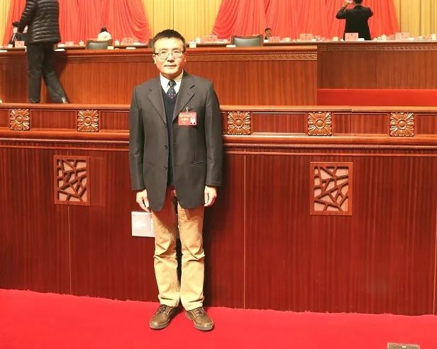 WDCM上传图片 WDCM上传图片