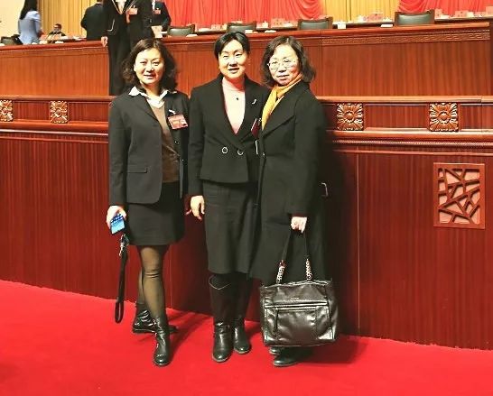 WDCM上传图片 WDCM上传图片